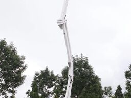 Palfinger P200 AXE | NISSAN NT400 | 20 METER | LOW KM F24P