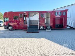 SCANIA P320 EHC Aufbau 6-7 Pferde Wohnung