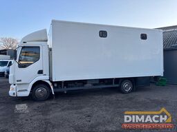 DAF FA LF45.150 4 paards, laadlift. Horsetruck NL t...