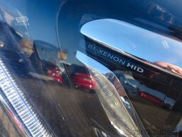 FORD Nugget L1 185PS Aut. Aufstelldach Xenon Navi AHK