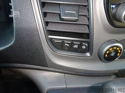 FORD Nugget L1 185PS Aut. Aufstelldach Xenon Navi AHK