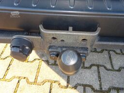 FORD Nugget L1 185PS Aut. Aufstelldach Xenon Navi AHK