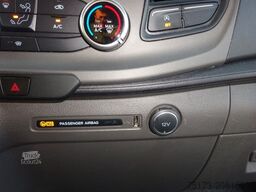 FORD Nugget L1 185PS Aut. Aufstelldach Xenon Navi AHK