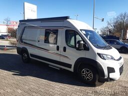 WEINSBERG WEINSBERG CaraBus 600 MQ EDITION [FIRE]