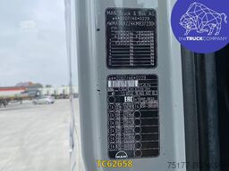 MAN TGX 460