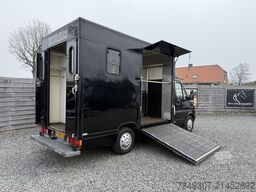 Mercedes-Benz Sprinter PAARDENWAGEN | HORSETRUCK | TVW | CLAS...
