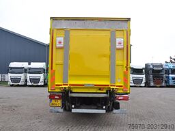 Scania P250 4X2 2018 VAN HOOL 8.65cm +DHOLLANDIA