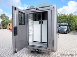 RENAULT Master STX 5 Sitzer Haras ex. Lang Automatik