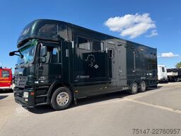 MERCEDES-BENZ 2541 L 6x2*4 Actros 5 Pferde Popout nur 34302 km