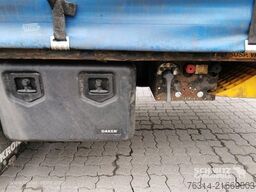 Krone Curtainsider Mega