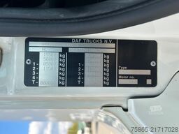 DAF CF 450 FT Space Cab / 333 dkm / Tacho V2 / APK ...