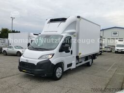 TOYOTA PROACE MAX Kühlkoffer LBW Xarios 300GH Aut. Navi