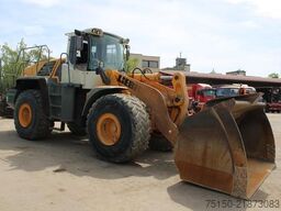 LIEBHERR L580 - Waage - Nr.: 221