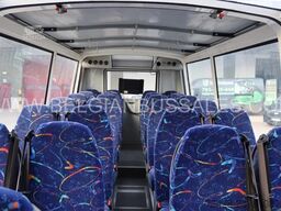 Iveco DAILY Atomic Cabrio