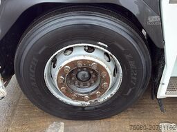 Renault AE 440 Magnum E-tech (BOITE MANUELLE / MANUAL G...