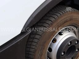 Iveco Daily Line New / 10 X UNITS / 65C18H8 4100L / A...