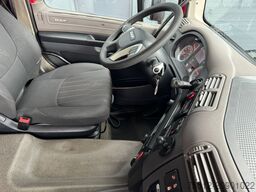 DAF CF 480 SC / 6X2 / Lift + Steering Axle / TUV: 8...