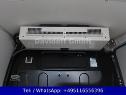 RENAULT Nr.B12 Kangoo Rapid Maxi Extra 1.Hand / GDP 0°C