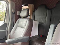 RENAULT Master Interhorse  5 Sitzer  Haras / Hengste