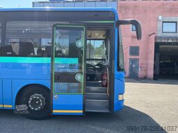 Iveco Crossway