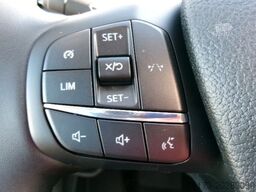 FORD Transit 350L2 Trend EinzelKab Pritsche Kam AHK