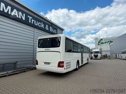 MAN Intercity