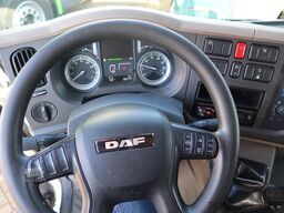 DAF LF 250 LF250 FA Schuifzeil +Dhollandia 1500 kg