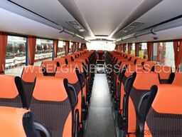 Iveco Evadys 13m / Rear door / NEW!!