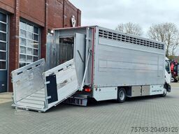 Pezzaioli 1 deck - Ventilation - 17.9M2 - Ramp - NEW box