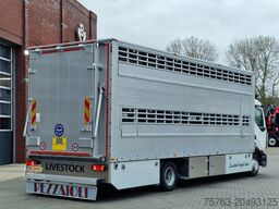 Pezzaioli 1 deck - Ventilation - 17.9M2 - Ramp - NEW box