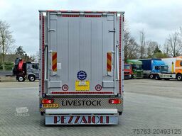 Pezzaioli 1 deck - Ventilation - 17.9M2 - Ramp - NEW box