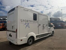 MAN TGE 3.180 Pferdetransporter Nuyts