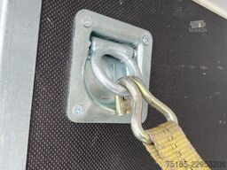 Blyss F1330HD Seitentür Kofferanhänger