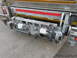 Scania P360LB 6x2 Faun / Swiss-Vehicle