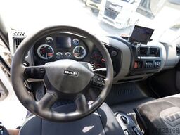 DAF CF55.220
