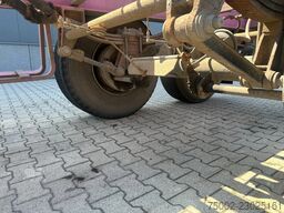 Flandria BLATT / SPRING / BLAD / LAMES