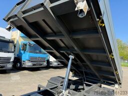 FUSO FUSO 3 S 15 Kipper 3-Seiten EURO 6 D *Schalter
