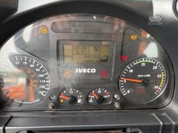 IVECO Trakker AD 190T36  4x4 Winterdienst - Kran-