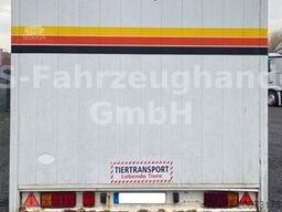 BÖCKMANN Pferdetransport