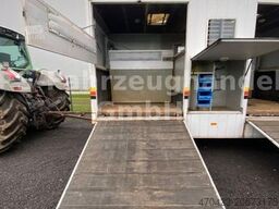 BÖCKMANN Pferdetransport