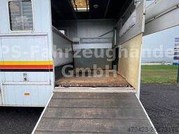 BÖCKMANN Pferdetransport