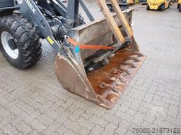 TEREX TL100