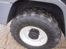 TEREX TL100