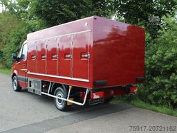 MERCEDES-BENZ Sprinter 310 Cold Car 5+5 Türen -33°C ATP 5/28