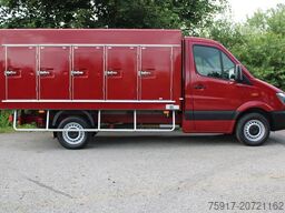 MERCEDES-BENZ Sprinter 310 Cold Car 5+5 Türen -33°C ATP 5/28