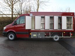 MERCEDES-BENZ Sprinter 310 Cold Car -33°C ATP 01/28