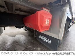 MAN TGM 15.250*5,00m*ATP*Thermoking*4 Rohrbahnen*