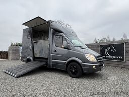 Mercedes-Benz Sprinter PAARDENWAGEN | HORSETRUCK | TVW | STAL...