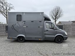 Mercedes-Benz Sprinter PAARDENWAGEN | HORSETRUCK | TVW | STAL...