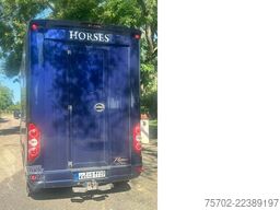 Renault Master Roelofsen 1-2 Pferde Hengsttrennung